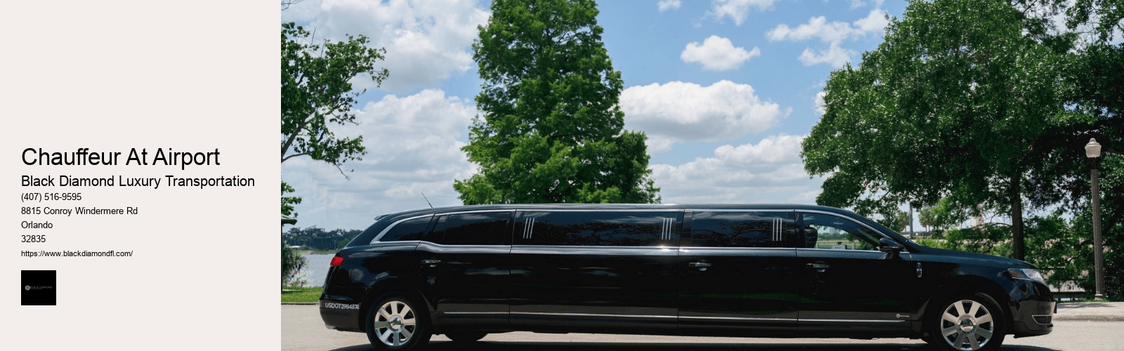 Chauffeur At Airport