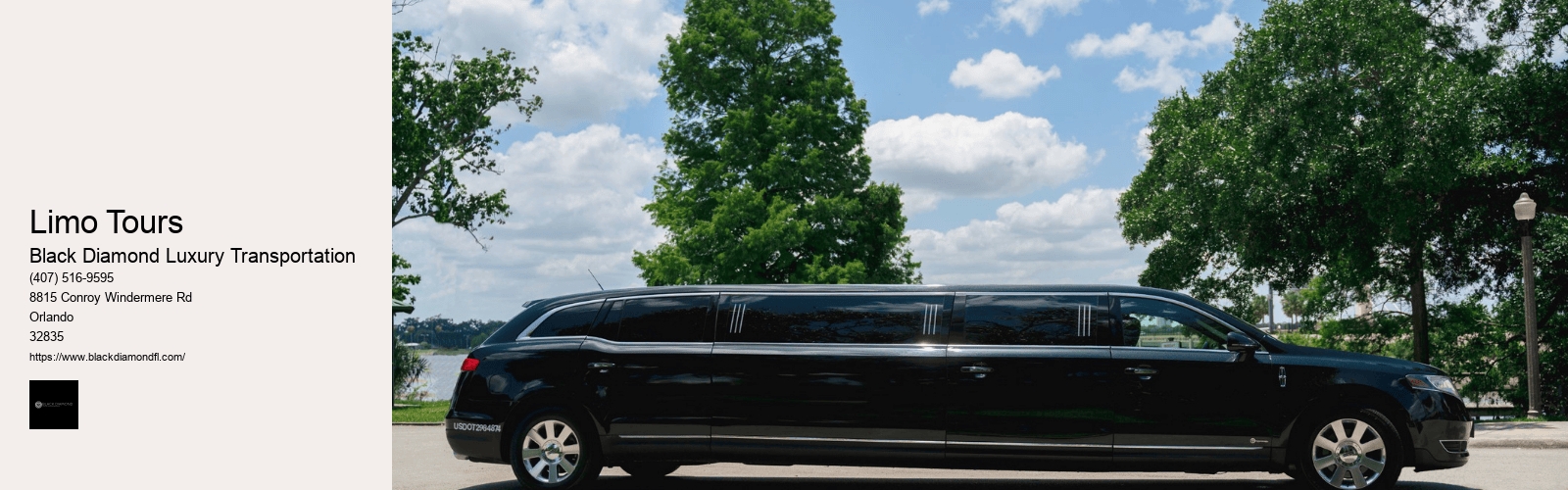 Limo Tours