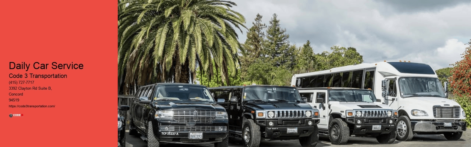 Daily Car Service