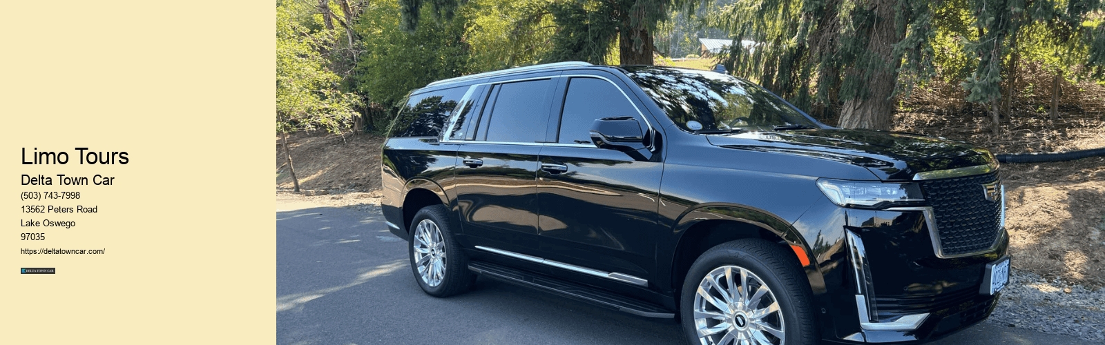 Limo Tours