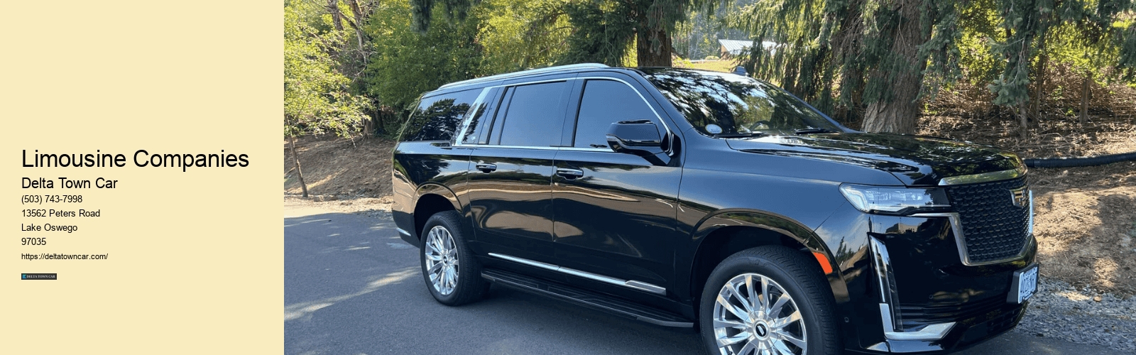 Limousine Companies