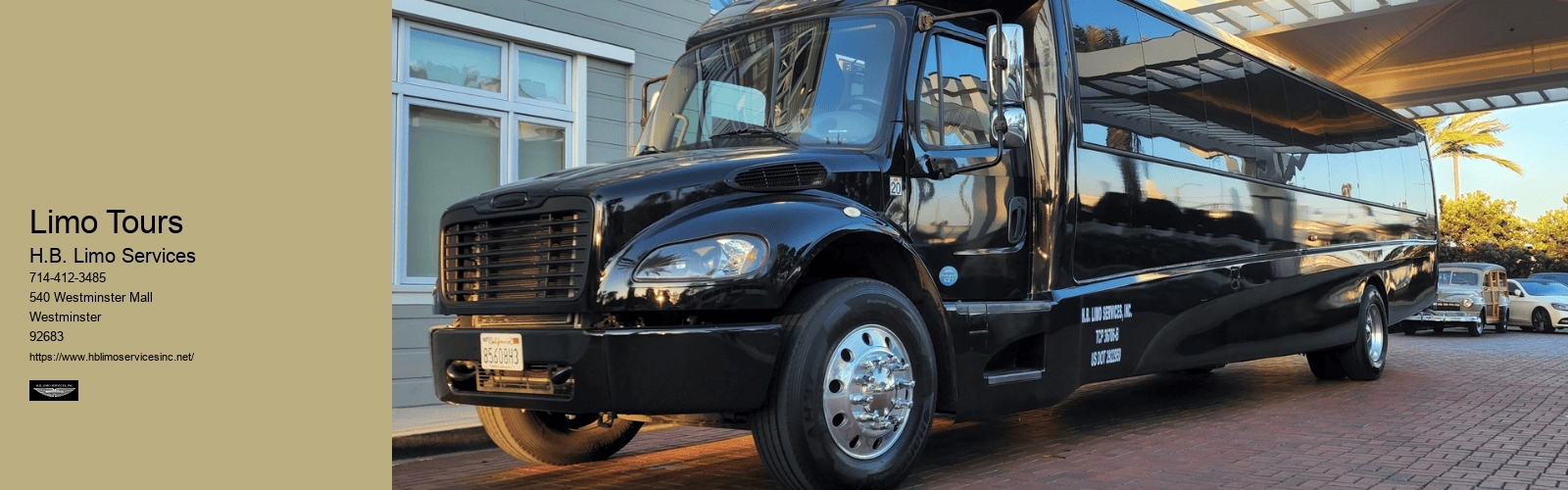 Limo Tours