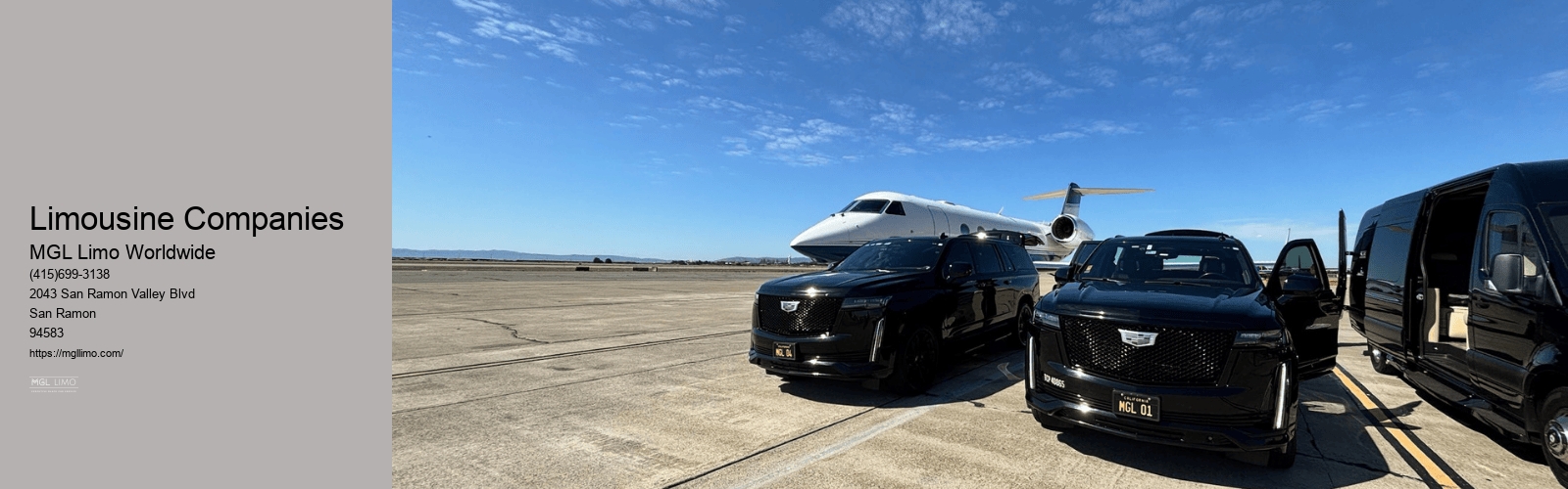 Limousine Companies